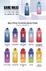 BANG 15000 Puffs The Ultimate Vape Experience with 21ml E Liquid and More