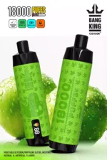 BANG 18000 DTL Screen The Best Disposable Vape for Long Lasting Flavor and Performance