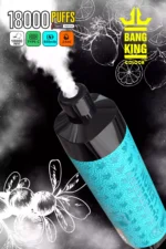 BANG 18000 DTL Screen The Best Disposable Vape for Long Lasting Flavor and Performance