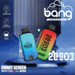 BANG 20000 Digital Screen Puffs Discover the Best Disposable Vape with 28ml E Liquid Capacity