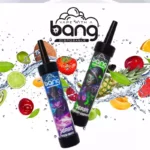 BANG 36000 DTL Shisha Puffs The Best Disposable Vape for Flavor and Longevity