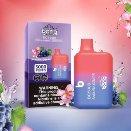 BANG BC 5000 Puffs The Best Disposable Vape for Long lasting Flavor and Performance