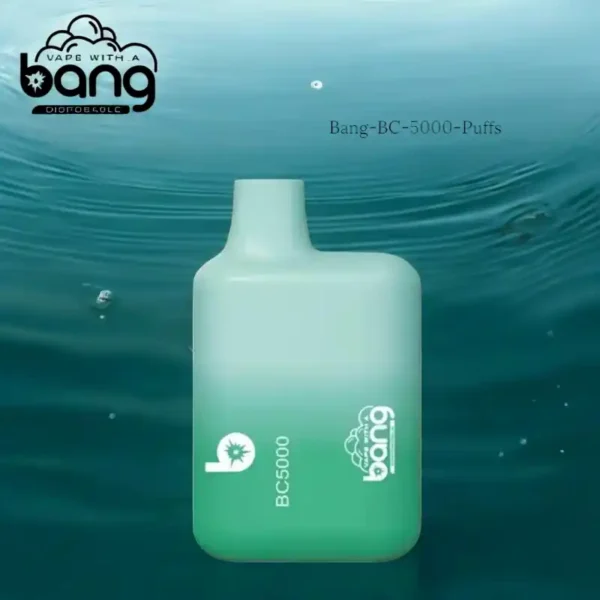 BANG BC 5000 Puffs The Best Disposable Vape for Long lasting Flavor and Performance