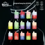 BANG BC 5000 Puffs The Best Disposable Vape for Long lasting Flavor and Performance