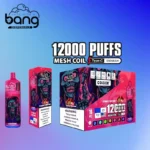 BANG FLUUM BOX 12000 Puffs 12000 Puffs of Satisfaction with Premium E Liquid and Flavors