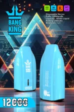 BANG KING 12000 Puffs High Quality Disposable Vape with 12ml E Liquid and 600mAh Battery