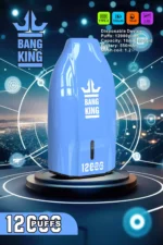 BANG KING 12000 Puffs High Quality Disposable Vape with 12ml E Liquid and 600mAh Battery