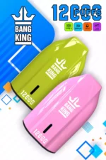 BANG KING 12000 Puffs High Quality Disposable Vape with 12ml E Liquid and 600mAh Battery