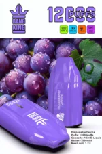BANG KING 12000 Puffs High Quality Disposable Vape with 12ml E Liquid and 600mAh Battery