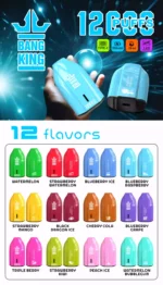 BANG KING 12000 Puffs High Quality Disposable Vape with 12ml E Liquid and 600mAh Battery