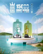 BANG King 15000 LED Puffs The Ultimate Disposable Vape with 15000 Puffs and 25ml E Liquid Capacity