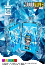 BANG King 20000 Puffs Unveiling the Ultimate Disposable Vape with 25ml E Liquid Capacity