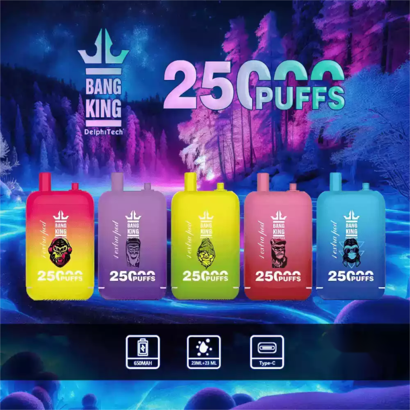 BANG King 25000 Puffs The Best Disposable Vape with USB C Charging and 25000 Puffs for Ultimate Satisfaction