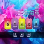 BANG King 25000 Puffs The Best Disposable Vape with USB C Charging and 25000 Puffs for Ultimate Satisfaction