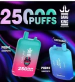 BANG King 25000 Puffs The Best Disposable Vape with USB C Charging and 25000 Puffs for Ultimate Satisfaction