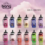 BANG TN 12000 Puffs The Ultimate Disposable Vape with 20ml E Liquid Capacity and 650mAh Rechargeable Battery