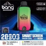 BANG 20000 Digital Screen Puffs Discover the Best Disposable Vape with 28ml E Liquid Capacity