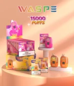 WASPE 15000 PUFFS Digital Box Rechargeable Vape avec 0% à 5% Nicotine
