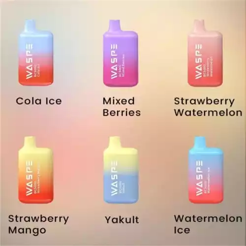 WASPE 5000 Puffs Disposable Vape with 5000 Puffs 650mAh Battery and 10 Irresistible Flavors