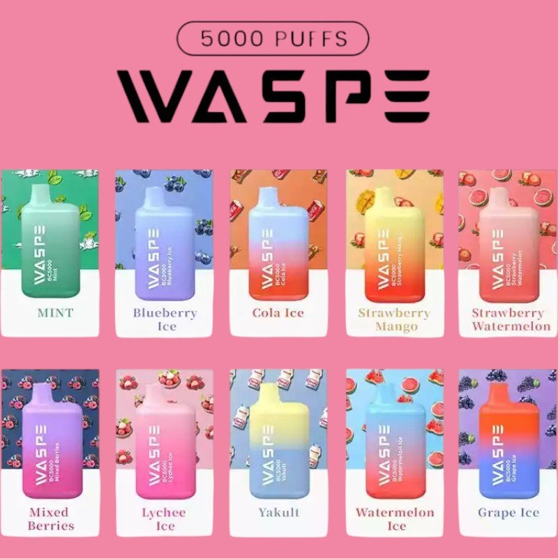 WASPE 5000 Puffs Disposable Vape with 5000 Puffs 650mAh Battery and 10 Irresistible Flavors