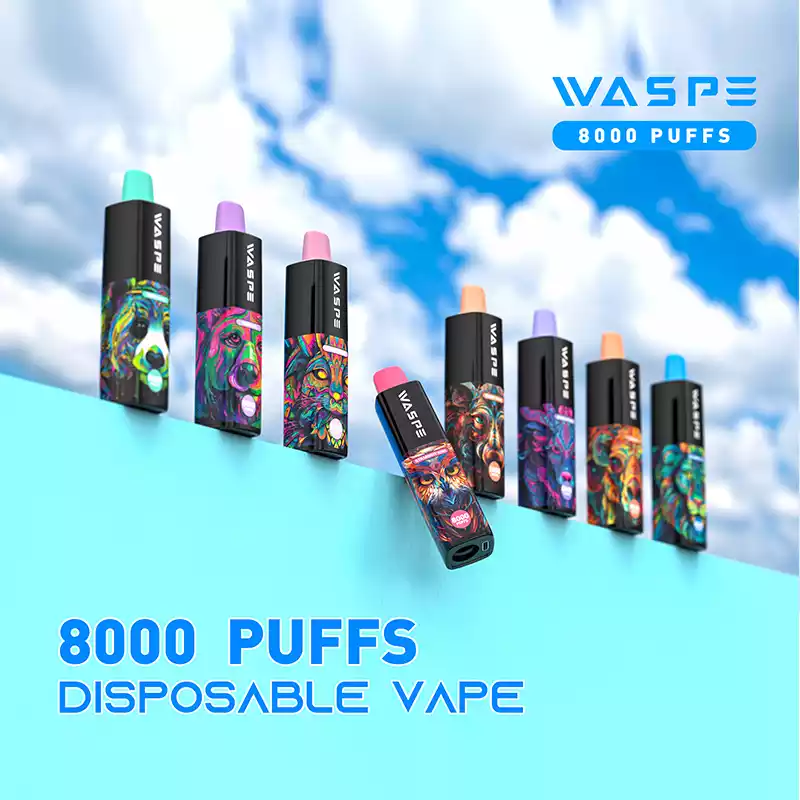 WASPE 8000 PUFFS Disposable Vape with 650mAh Battery and 10 Unique Flavors